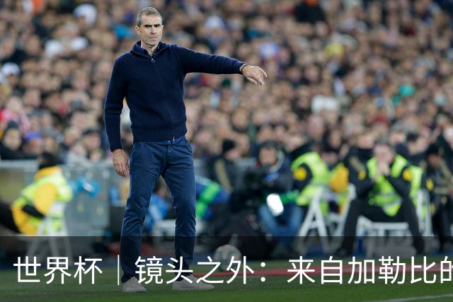 世界杯｜镜头之外：来自加勒比的蓝色海浪——库拉索
